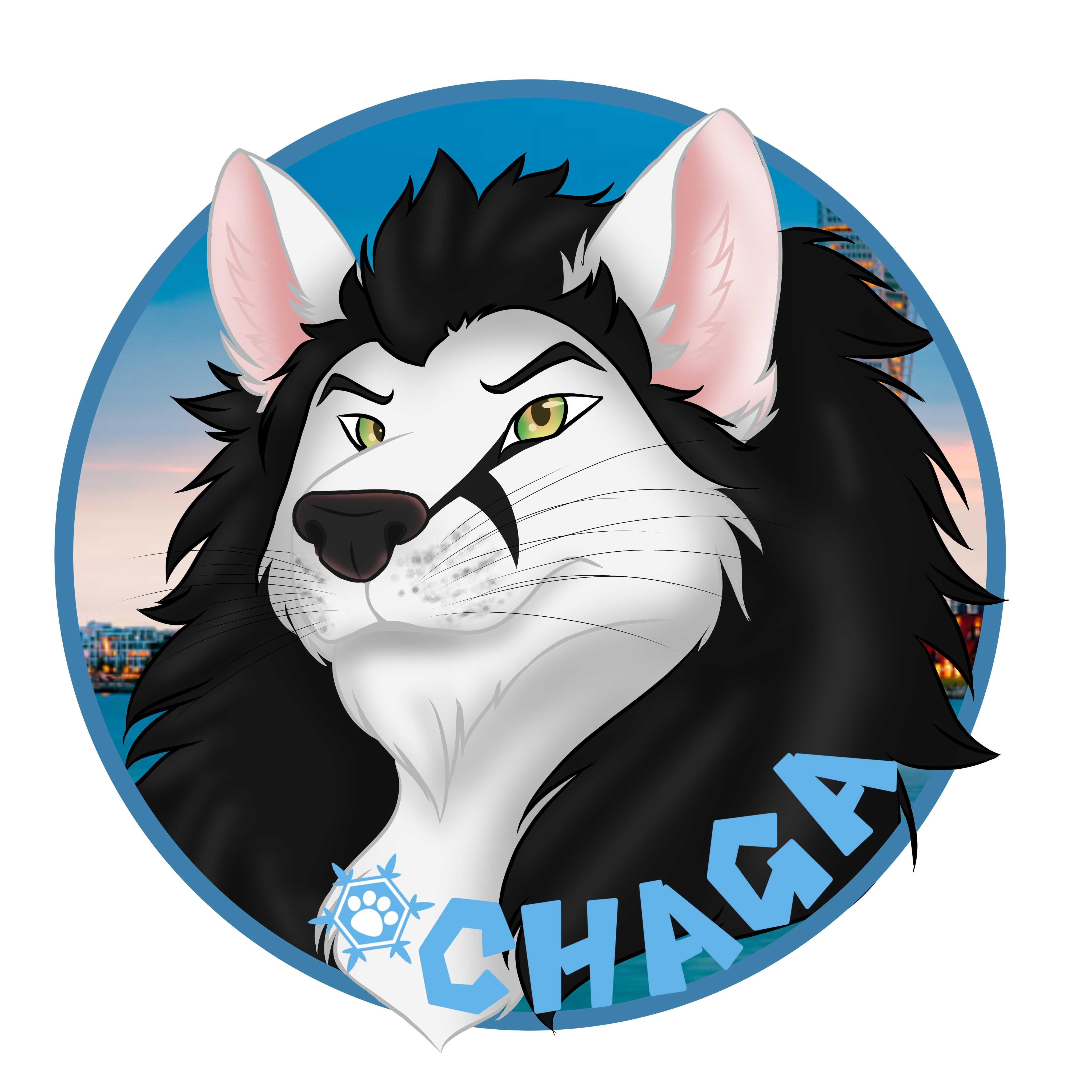Chaga's avatar